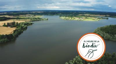 [À l'heure de la biodiv' !] Parcours ABC-IBC 3/4 : De la connaissance à la protection du patrimoine naturel