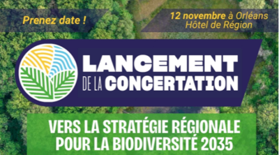 Vers la stratégie régionale pour la biodiversité 2035