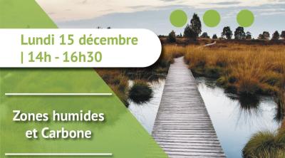 Restitution de l'étude générale "carbone et zones humides" menée par le Forum des Marais Atlantiques