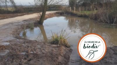 [À l'heure de la biodiv' !] Parcours ABC-IBC 4/4 : Faire vivre les plans d'action