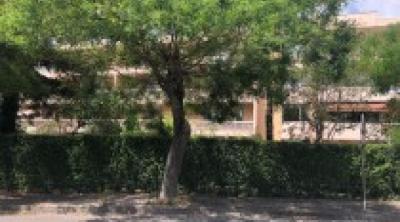 Comment l’aménagement d’une rue influe-t-il sur la biodiversité ? | Plante&Cité