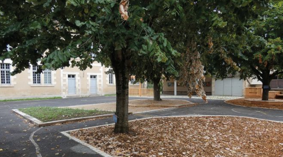 Visite technique "Un aménagement vivant : comment penser le végétal dans toutes les étapes d'un projet ?"