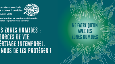 [Mois des zones humides 2026] Animations en région