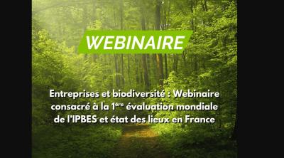 Webinaire consacré au Rapport "Entreprises & Biodiversité" de l'IPBES