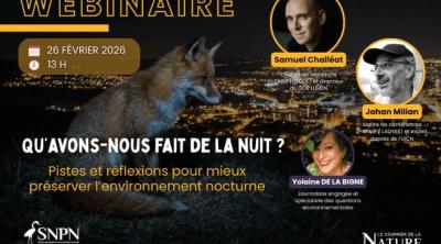 La nuit, un habitat à part entière : repenser notre rapport à l’obscurité pour préserver la biodiversité | SNPN