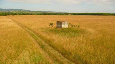 Prairies et qualité de l'eau : risques et bénéfices | CdR Captages