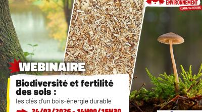 Biodiversité et fertilité des sols
