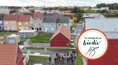 [À l'heure de la biodiv' !] Parcours Mobiliser les entreprises 1/4 : Biodiversité et entreprises, comprendre les liens pour agir