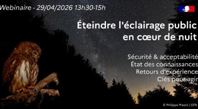 Eteindre l'éclairage en cœur de nuit | OFB