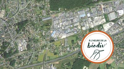[À l'heure de la biodiv' !] Parcours Mobiliser les entreprises 4/4 : Zones d'activités : concilier développement économique et biodiversité