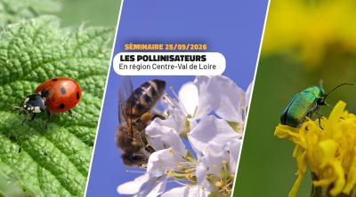 Séminaire - Les pollinisateurs en Centre-Val de Loire | FNE Centre-Val de Loire