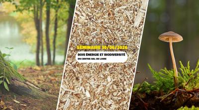 Séminaire - Bois énergie et biodiversité en Centre-Val de Loire