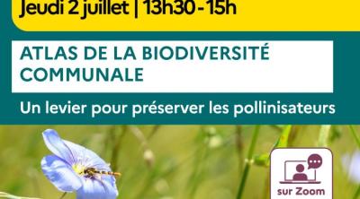 Atlas de la biodiversité communale : un levier pour préserver les pollinisateurs | OFB et Artopologia