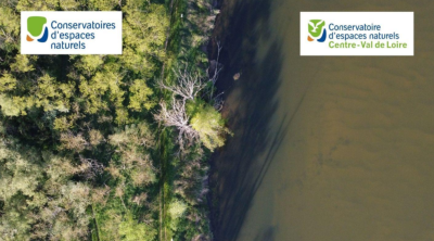 Forêts alluviales et ripisylves : agir collectivement pour restaurer ces écosystèmes
