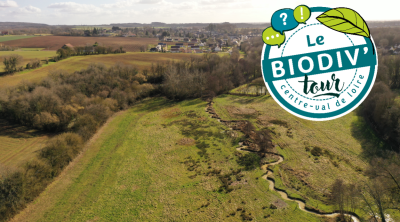 Biodiv'Tour : visite autour de la restauration et la renaturation d'une rivière et de zones humides à Saint-Martin d'Auxigny (18)