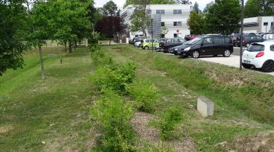 Webinaire technique de lancement de l’AMI Projets collectifs d’entreprises en faveur de la biodiversité des territoires