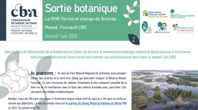 Sortie botanique à la RNR Terres et étangs de Brenne, Massé, Foucault (36)