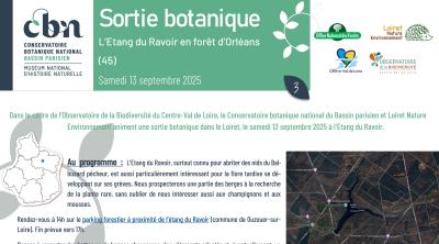 Sortie botanique à l'Etang du Ravoir en forêt d’Orléans (45)