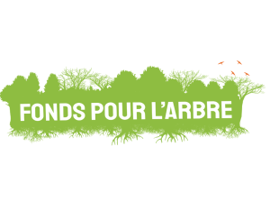 Fonds pour l'Arbre