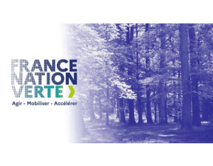 Appel à projets "Renouvellement forestier"