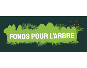 Fonds pour l'arbre - 1ère phase 2026