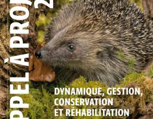 Conservation et réhabilitation de la faune sauvage et de ses habitats | Fondation François Le Sommer
