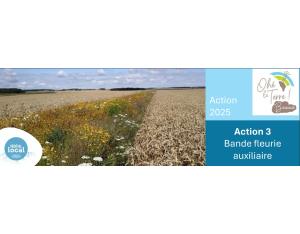 Appel à projet | Subvention couverts fleuris | Ohé la Terre Beauce 