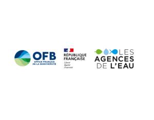 Financer des projets innovants et originaux sur les sujets de l'eau, les milieux aquatiques ou la biodiversité terrestre et marine | OFB & Agences de l'eau