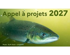Poissons migrateurs amphihalins : un appel à projets 2027 pour mieux connaître et préserver les espèces du bassin de la Loire | AELB