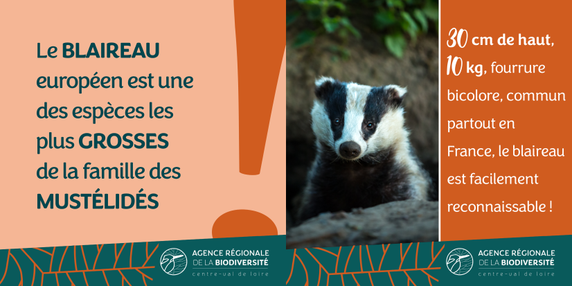 Publié le 15/05/2025