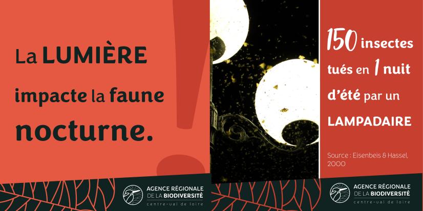 Publié le 26/03/2024