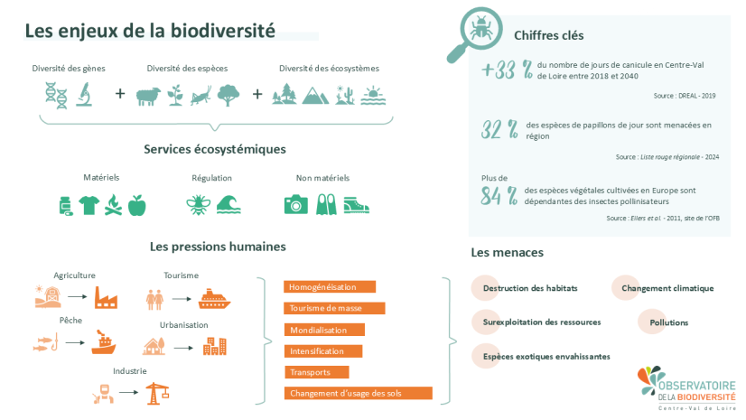 Les enjeux de la biodiversité en un coup d'œil ©ARB Centre-Val de Loire