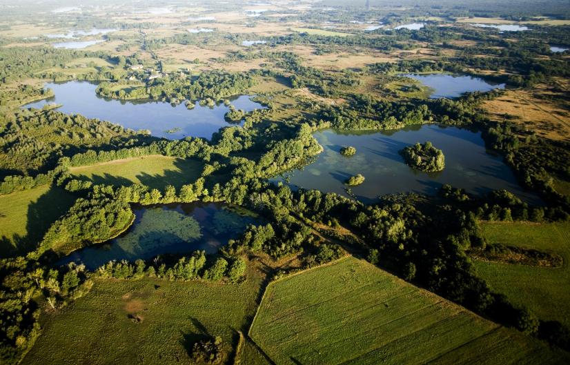 Étangs de Brenne ©N Van Ingen