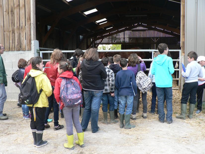 Journée d’immersion : rencontre d’un éleveur © CPIE Brenne-Berry