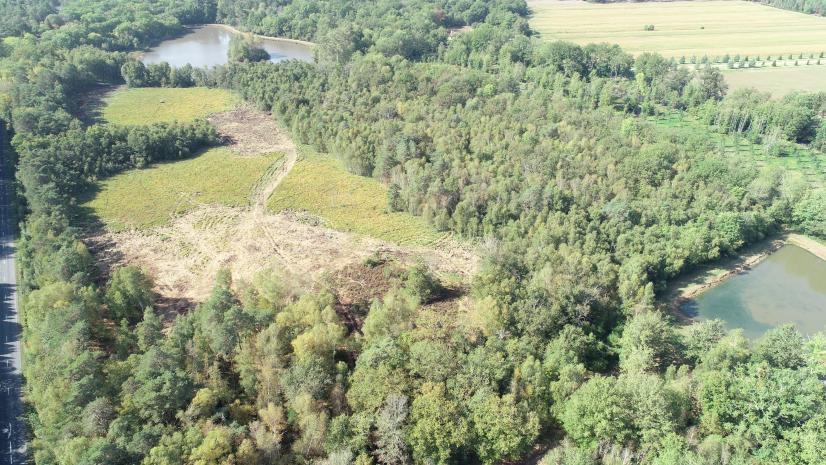 La tourbière des Landes après travaux ©Cirade Environnement