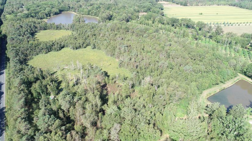 La tourbière des Landes avant travaux ©Cirade Environnement