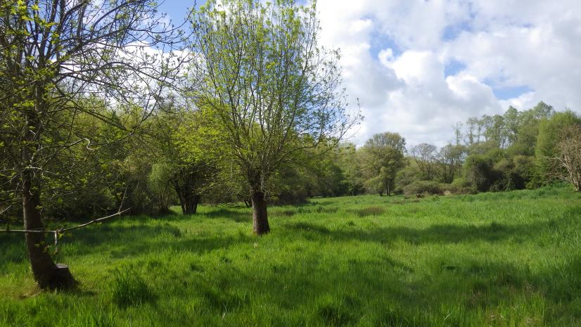 Marais de Taligny © Région CVL