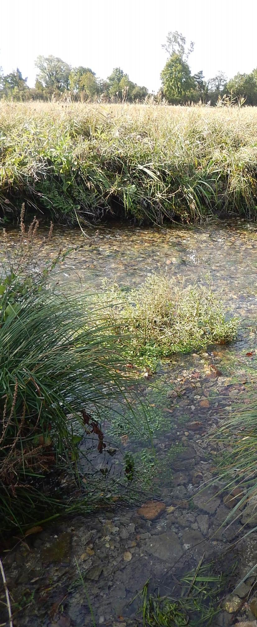 La Vignole, marais de Jean-Varenne © PL-ARB CVL