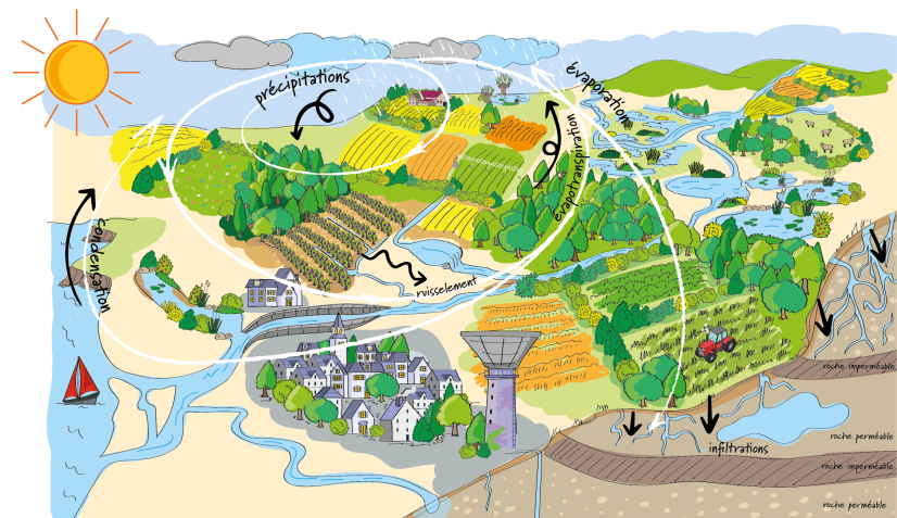 Illustration du cycle de l'eau ©ARB Centre-Val de Loire