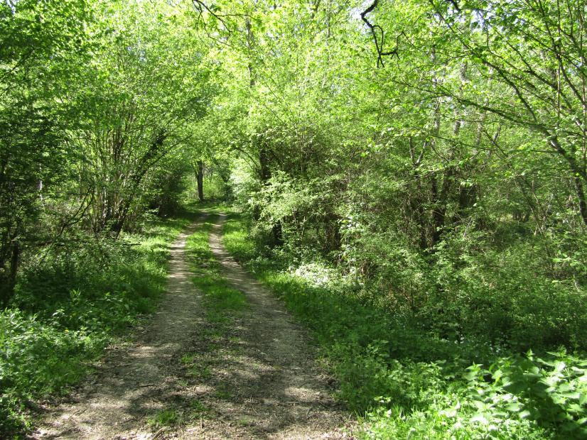 Chemin de randonnée à Viglain © CBNBP