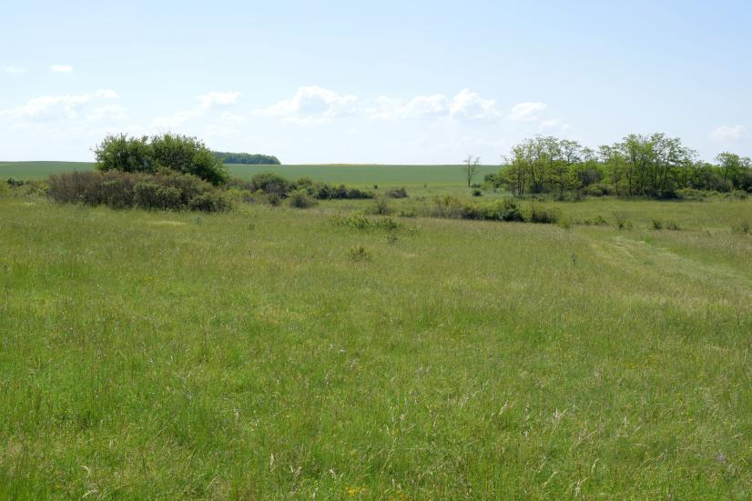 Prairie calcicole de l'Éperon de Roquezon, Espace naturel sensible de 20 ha, géré par le Cen 41 ©L. Roger-Perrier, ARB