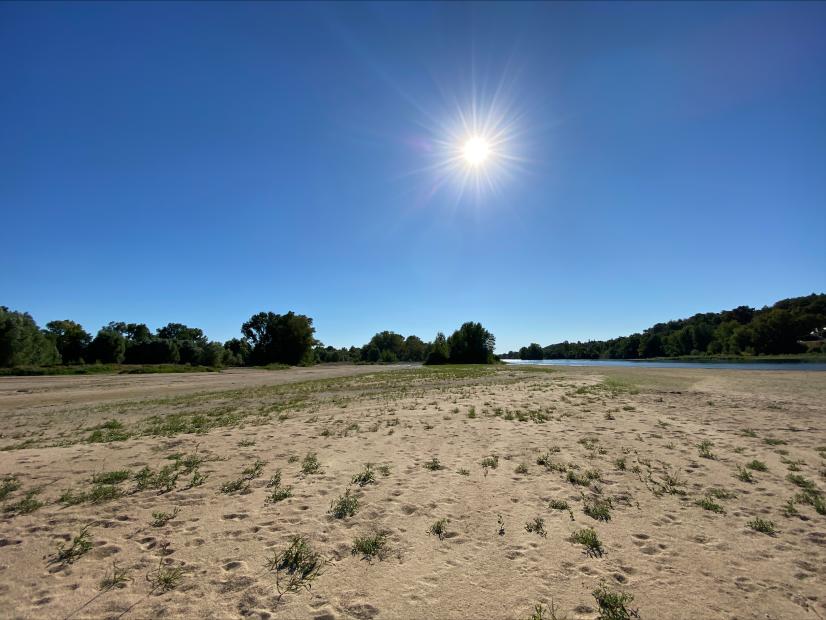 La Loire à Rochecorbon dans l'Indre-et-Loire, 6 août 2022 © Florentin Cayrouse (@floc36)