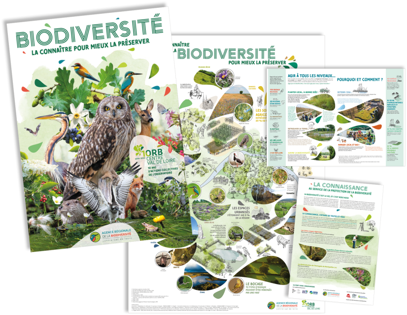 Poster des 10 ans de l'Observatoire