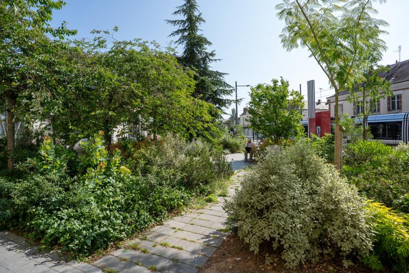 Exemple de végétalisation avec la Place Pilorget - Beltrame © Gilles LECUIR