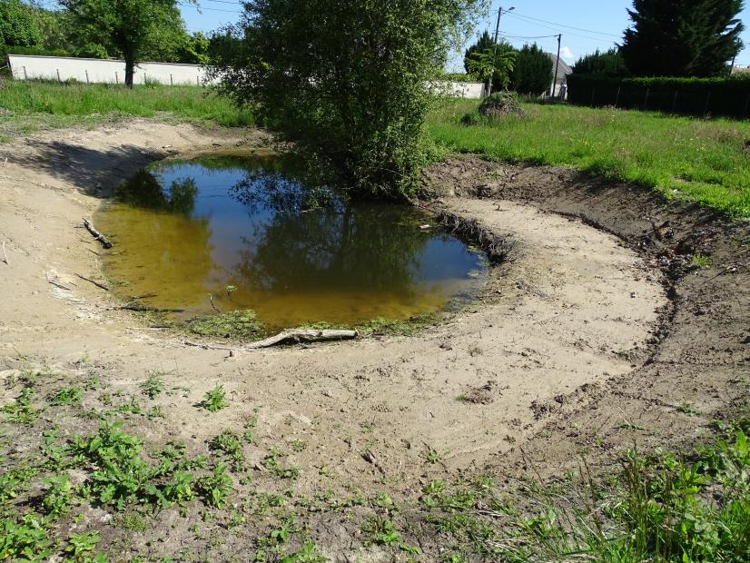 Mare venant d'être restaurée @ BV ARB