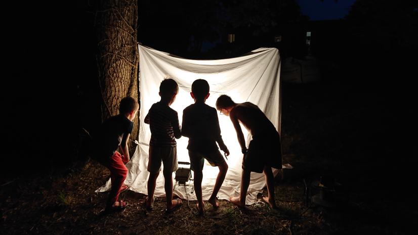 Animation autour de la biodiversité nocturne @ CPIE Brenne Berry