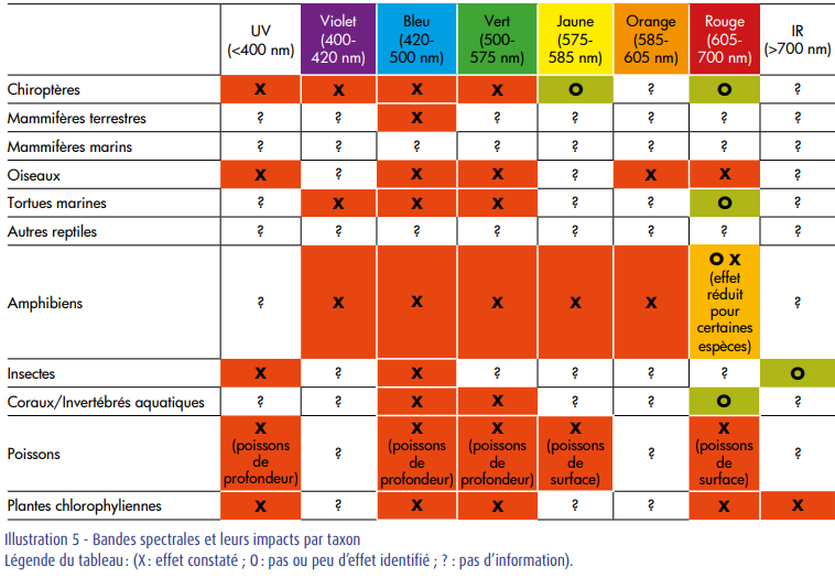 Tableau des impacts par taxon selon les bandes spectrales © CEREMA - rapport d'étude AUBE - étude bibliographique 2018