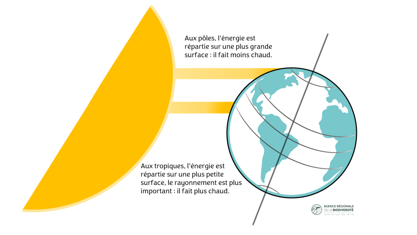 Différence de température entre les latitudes ©ARB, L.R-P