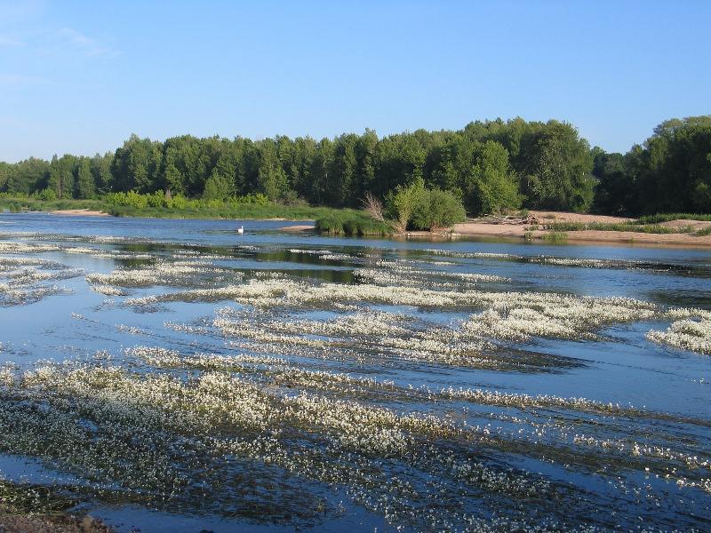 Réserve naturelle de Saint-Mesmin (45)