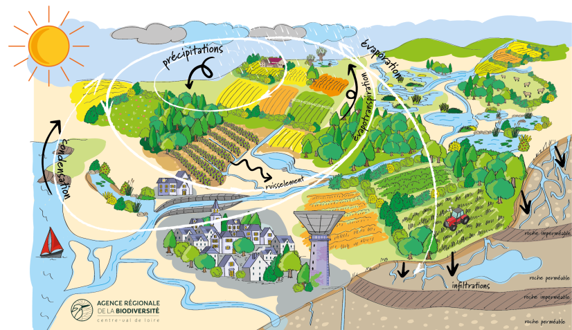 Cycle de l'eau © ARB Centre-Val de Loire